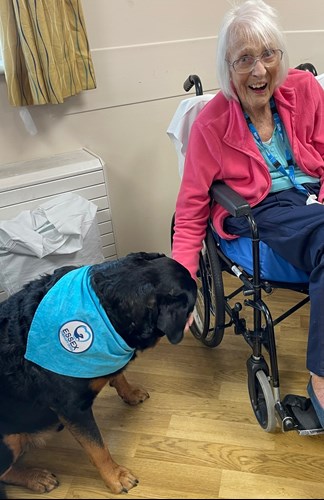 Patient Irene Gillie with Harley, a black and tan coloured rottweiler