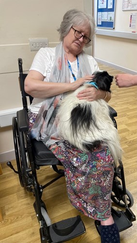 Patient Ashley Day with Jazz, a long haired white and black coloured dog